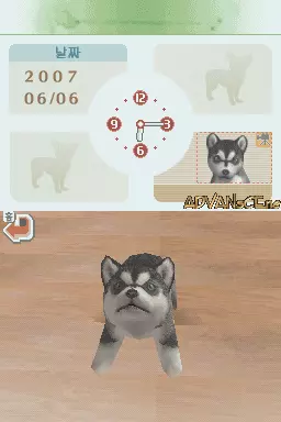 Image n° 3 - screenshots : Nintendogs - Dachshund & Friends